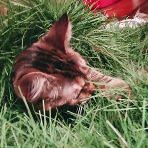 Meet your Posher, Stephen